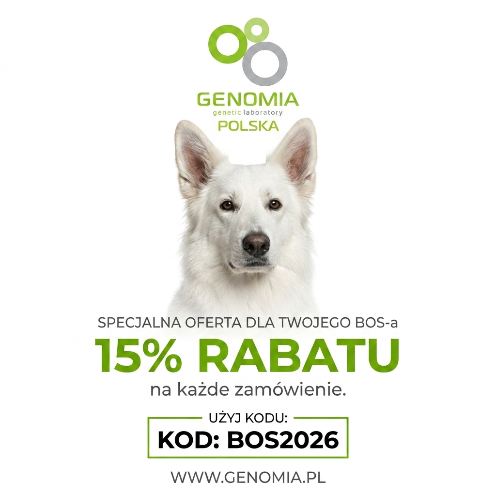 Promocja tygodnia