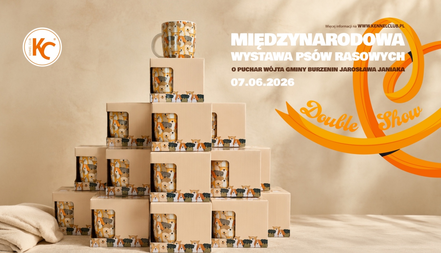 Mini Niedźwiadki - Wyjątkowe upominki dla Młodych Prezenterów!
