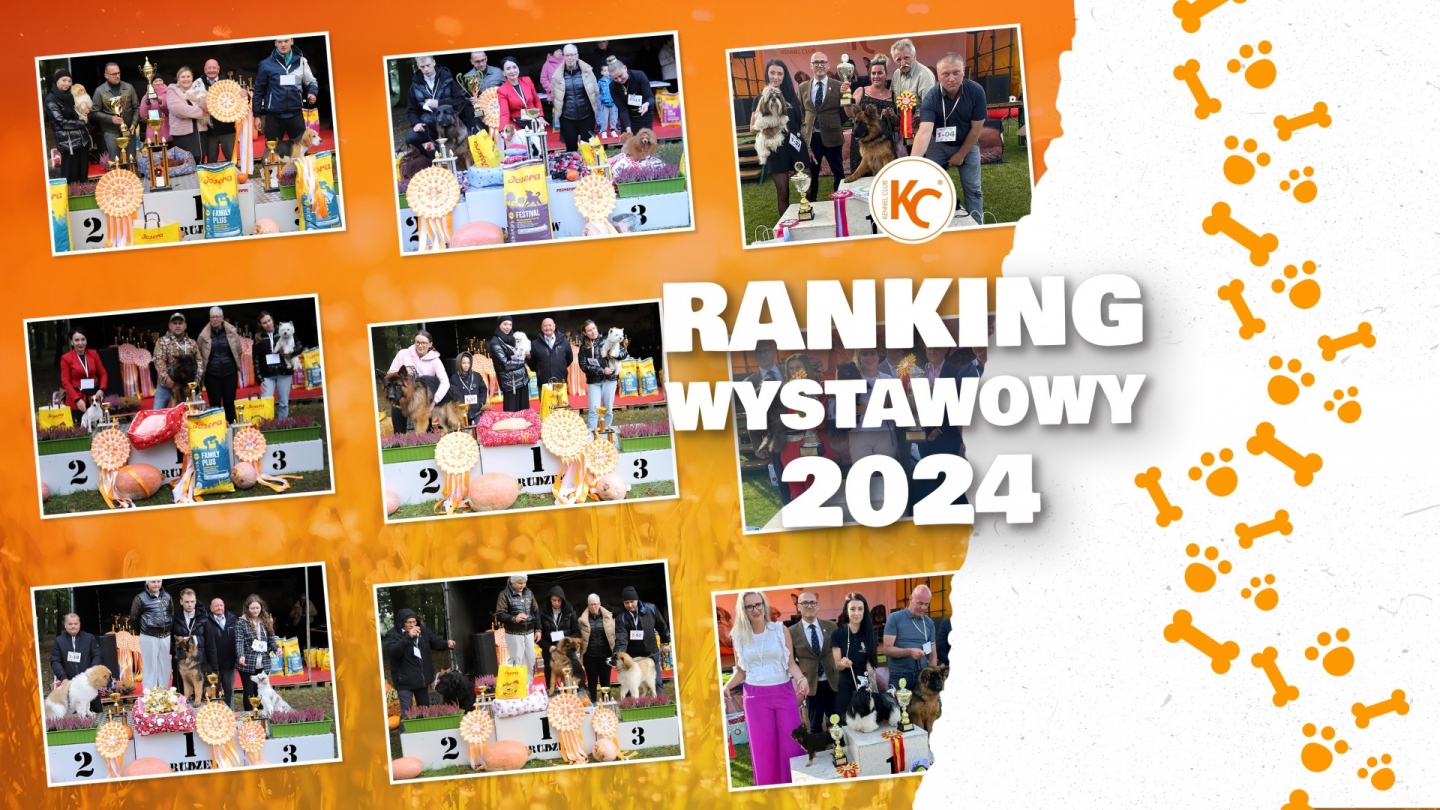 Ranking Wystawowy 2024