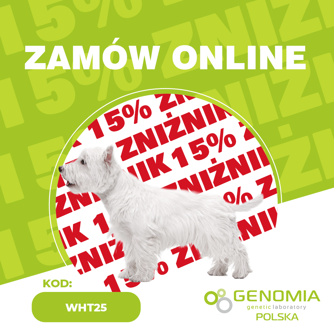 Promocja tygodnia