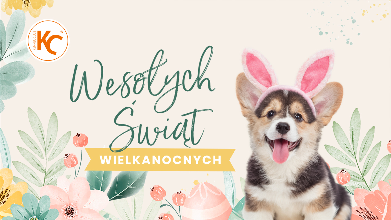 Wesołych Świąt!